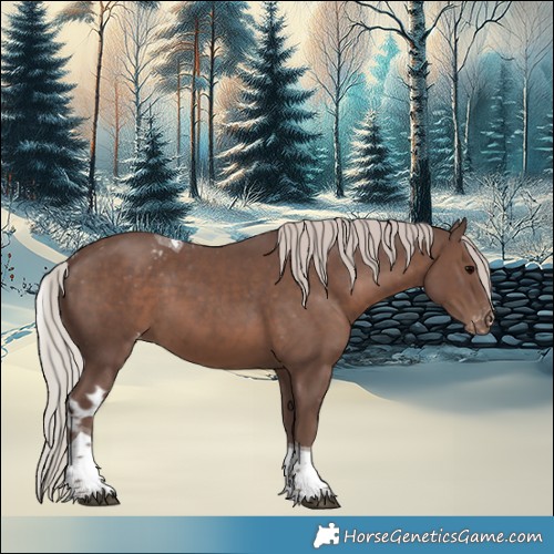 Horse Color:Silver Black Tobiano Skewed LP Spotted 