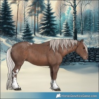 Horse Color:Silver Black Tobiano Skewed Appaloosa