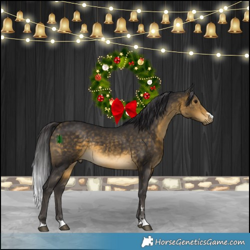 Horse Color:Buckskin Rabicano