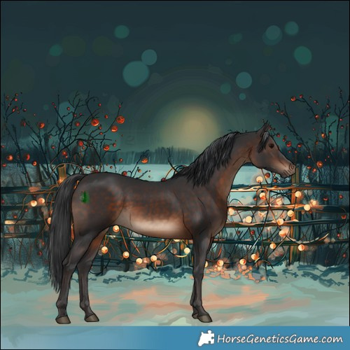 Horse Color:White Spotted Brown Rabicano 