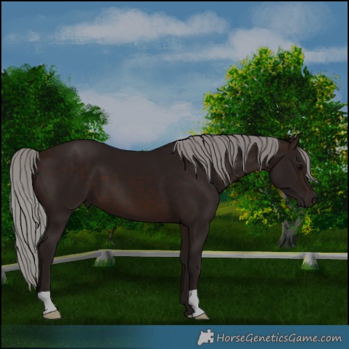 Horse Color:Silver Brown 