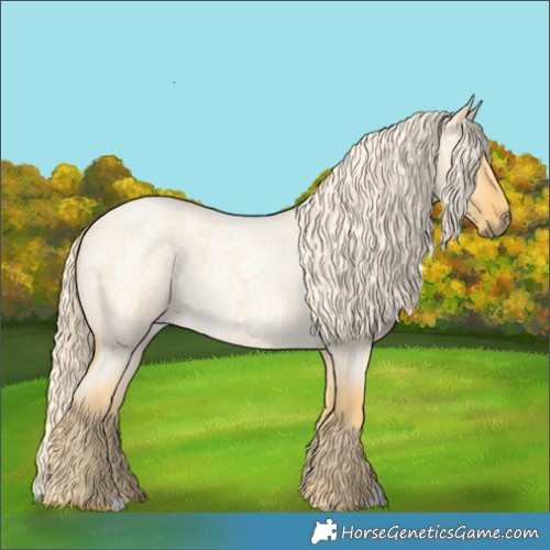Horse Color:Palomino Roan Dun 