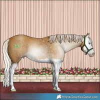 Horse Color:Gray Silver Classic Cream Champagne Splash 