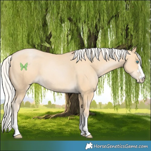 Horse Color:Silver Buckskin Pearl 