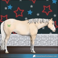 Horse Color:Silver Buckskin Pearl