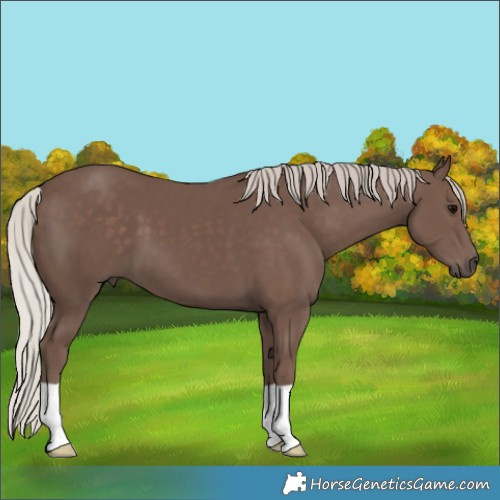 Horse Color:Silver Black 