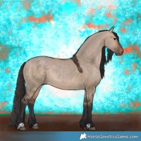 Horse Color:Brown Dun 