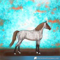 Horse Color:Liver Red Roan Splash