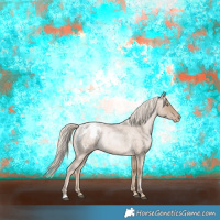 Horse Color:Chocolate Palomino Roan Pearl Appaloosa