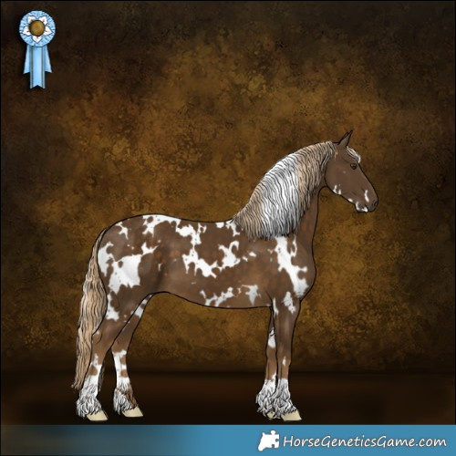 Horse Color:White Spotted Chocolate Palomino 