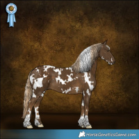 Horse Color:White Spotted Chocolate Palomino