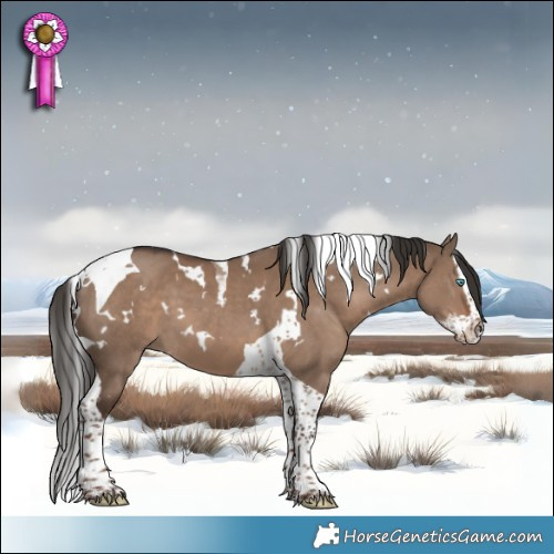 Horse Color:White Spotted Liver Red Dun Splash Tobiano 