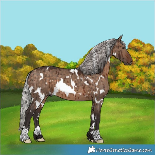 Horse Color:White Spotted Silver Brown Dun Brindle 