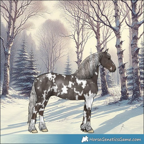 Horse Color:White Spotted Silver Black Rabicano 