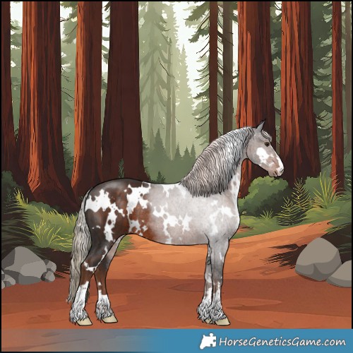 Horse Color:White Spotted Liver Chestnut Rabicano 