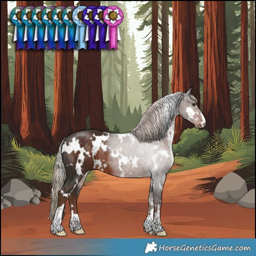 Horse Color:White Spotted Liver Chestnut Rabicano 