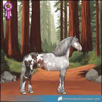 Horse Color:White Spotted Liver Chestnut Rabicano 