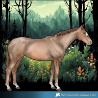 Horse Color:Liver Chestnut Pearl Appaloosa 