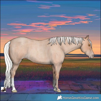 Horse Color:Silver Classic Champagne Roan