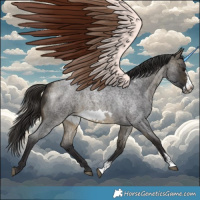 Horse Color:Buckskin Roan Sabino Frame