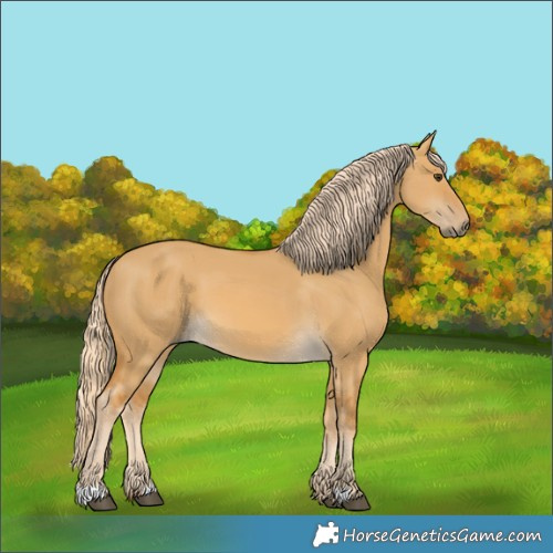 Horse Color:Palomino Dun 