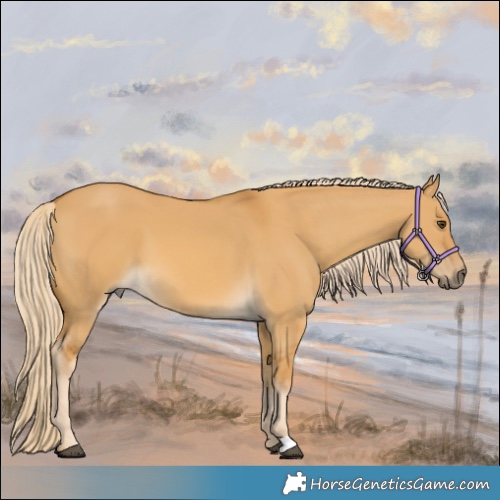 Horse Color:Palomino Dun 