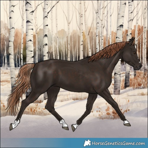 Horse Color:Liver Chestnut 