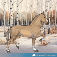 Horse Color:Chocolate Palomino Dun