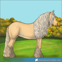 Horse Color:Palomino Dun 