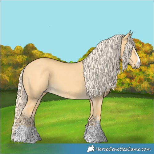 Horse Color:Palomino Dun