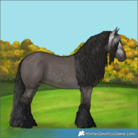 Horse Color:Gray Grullo 