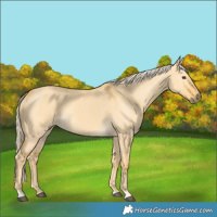 Horse Color:Palomino Dun 