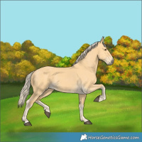 Horse Color:Palomino Dun 