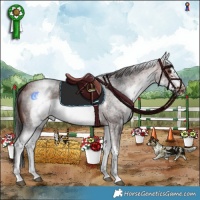 Horse Color:White Spotted Brown Roan Frame 