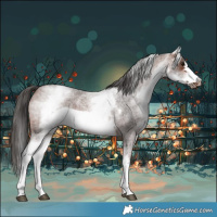 Horse Color:White Spotted Brown Roan Frame 