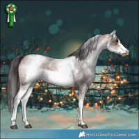 Horse Color:White Spotted Brown Roan Frame