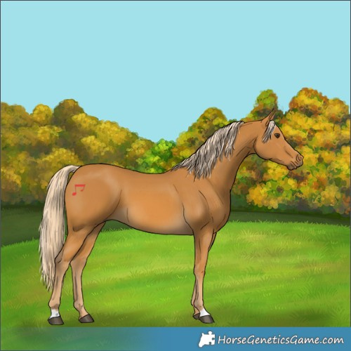 Horse Color:Palomino