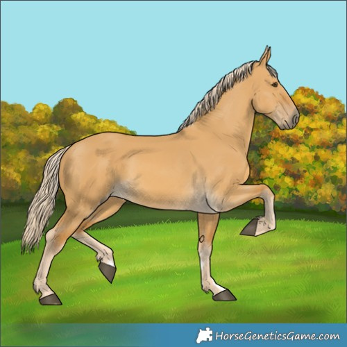 Horse Color:Palomino Dun 