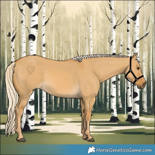 Horse Color:Palomino Dun 