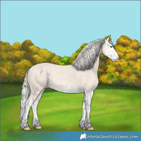 Horse Color:Cremello Splash  and Cremello Splash 