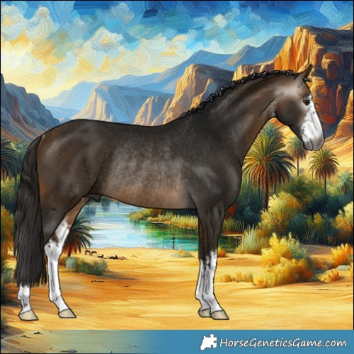 Horse Color:Gray White Spotted Buckskin Rabicano