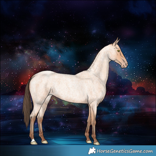 Horse Color:Amber Champagne Roan 