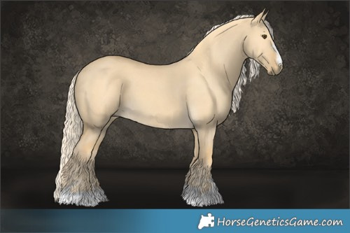 Horse Color:Palomino Dun 