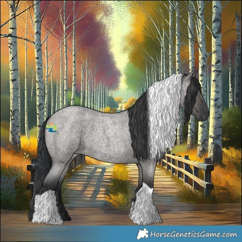 Horse Color:Grullo Roan Tobiano 