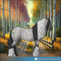 Horse Color:Grullo Roan Tobiano