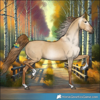 Horse Color:Gray Red Dun Tobiano 