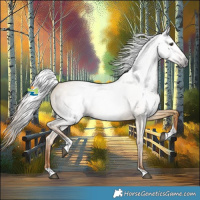 Horse Color:Gray Red Dun Tobiano 