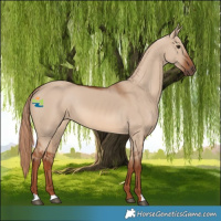 Horse Color:Red Dun 