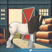 Horse Color:Buckskin Roan Tobiano 