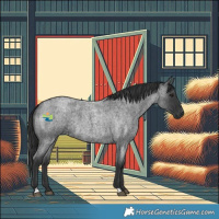 Horse Color:Blue Roan 
